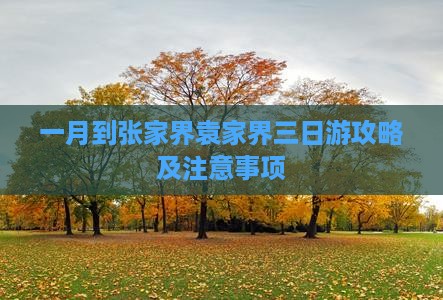 一月到张家界袁家界三日游