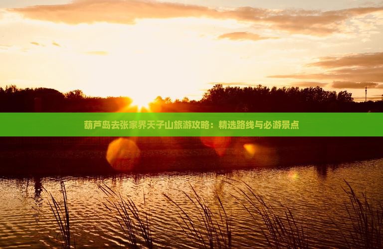 葫芦岛去张家界天子山哪里玩