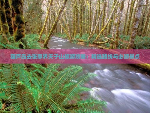 葫芦岛去张家界天子山哪里玩