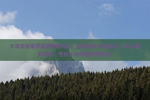 大丰去张家界袁家界旅行社