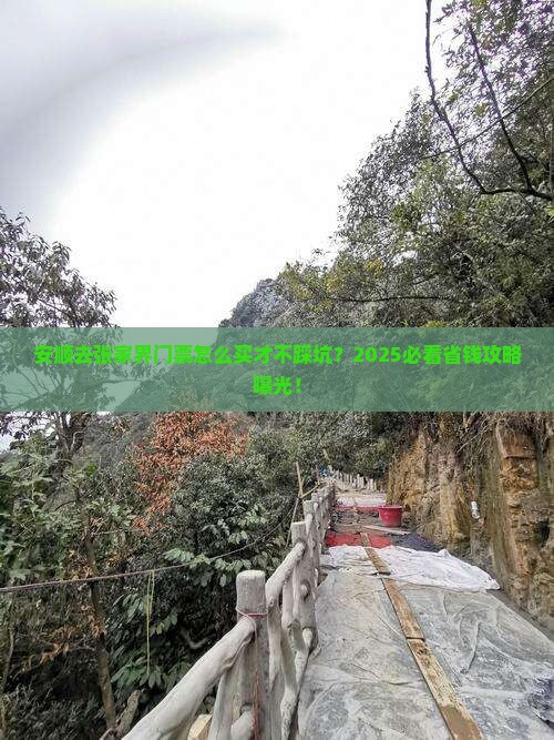 安顺去张家界门票