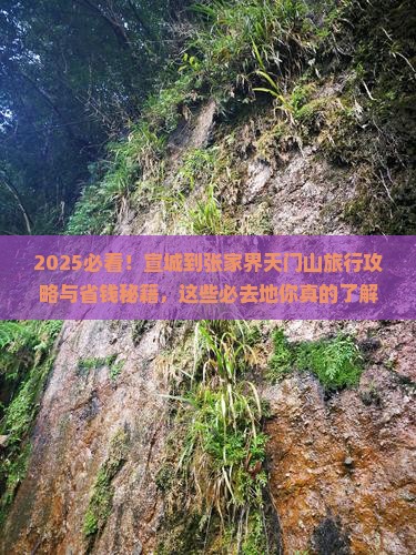 宣城到张家界天门山必去地