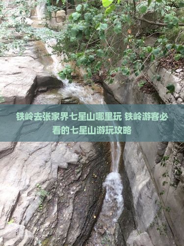 铁岭去张家界七星山哪里玩