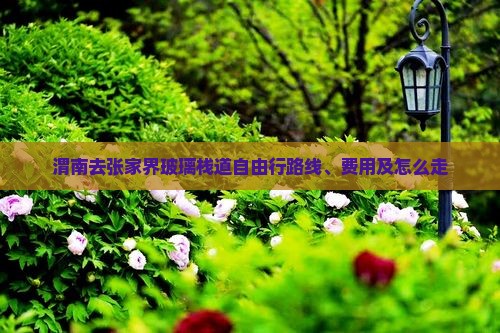 渭南去张家界玻璃栈道自由行
