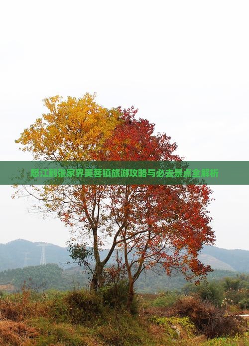 怒江到张家界芙蓉镇旅游