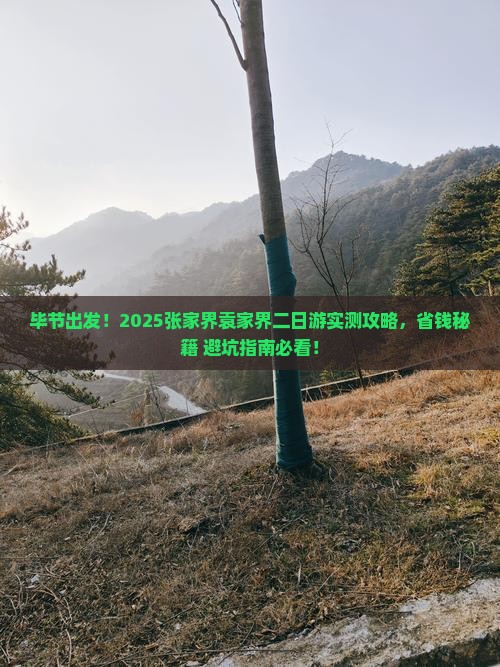 毕节去张家界袁家界二日游