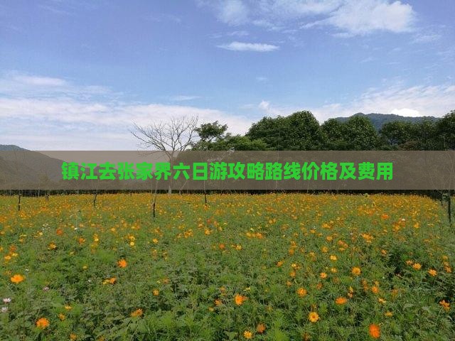 镇江去张家界六日游