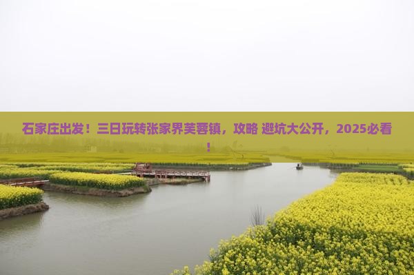 石家庄到张家界芙蓉镇三日游