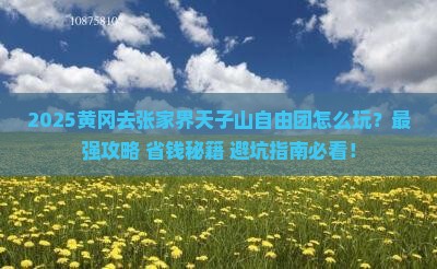 黄冈去张家界天子山自由团
