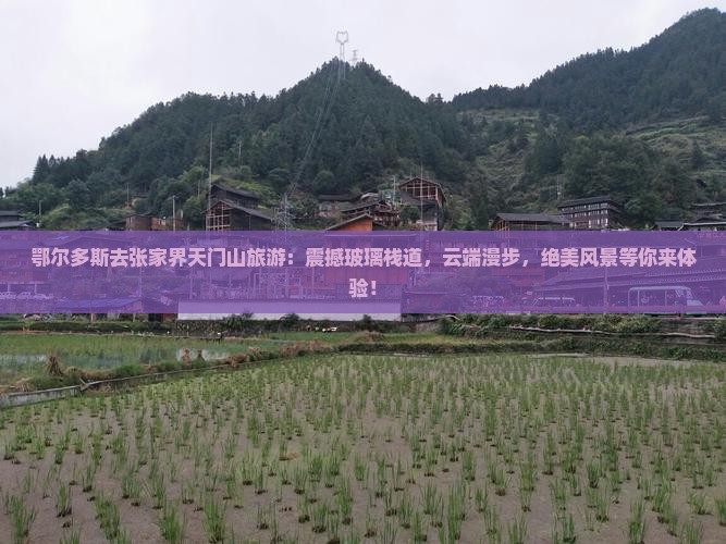 鄂尔多斯去张家界天门山旅游