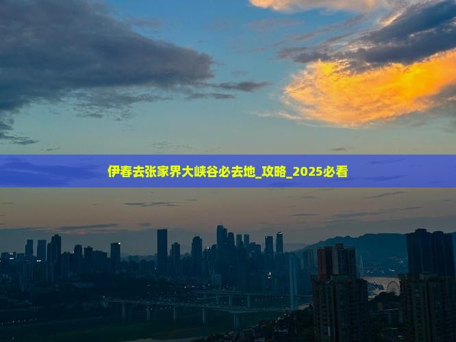 伊春去张家界大峡谷必去地