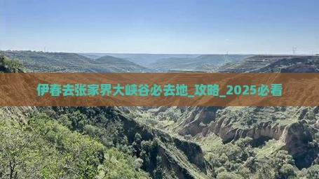 伊春去张家界大峡谷必去地