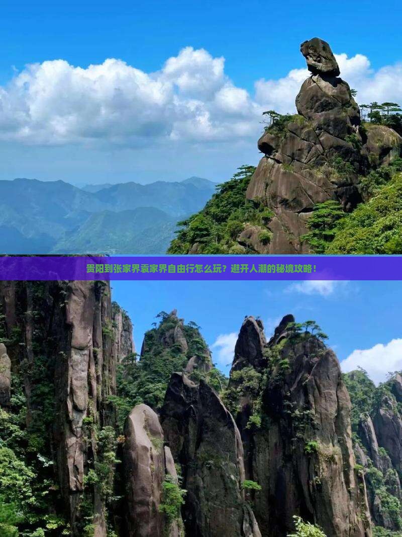 贵阳到张家界袁家界自由行