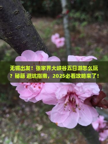 无锡到张家界大峡谷五日游