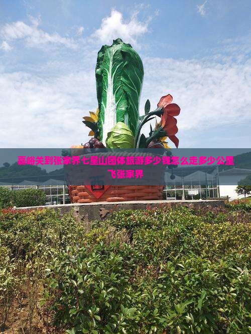 嘉峪关到张家界七星山团体旅游