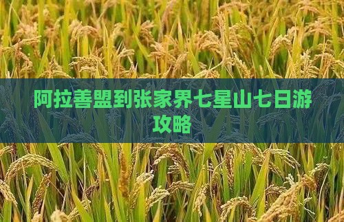阿拉善盟去张家界七星山七日游