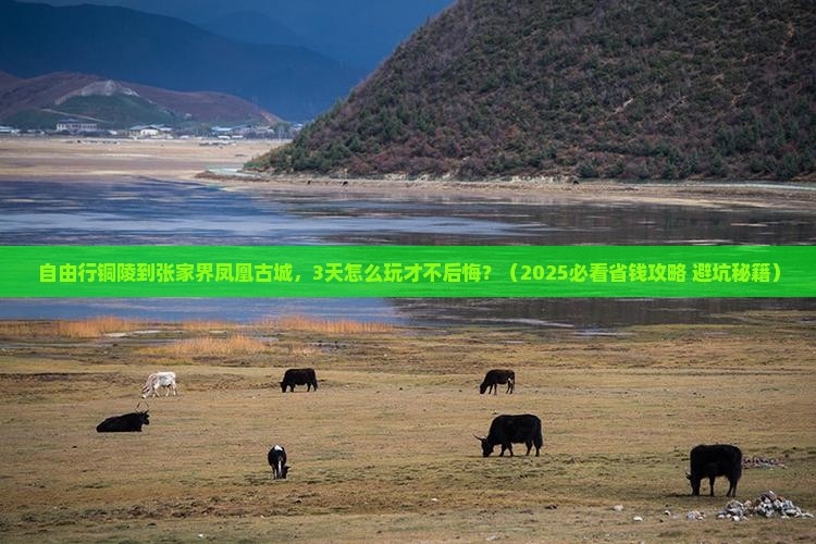 铜陵到张家界凤凰古城自由团 铜陵到张家界凤凰古城自由团