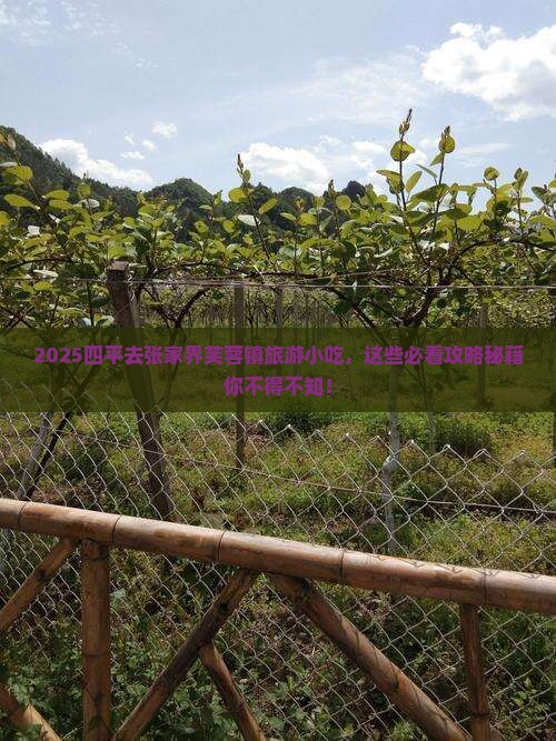 四平去张家界芙蓉镇旅游小吃