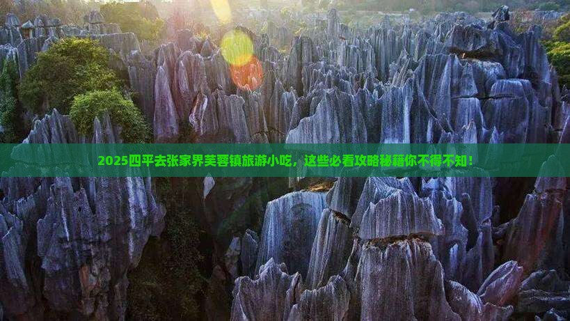 四平去张家界芙蓉镇旅游小吃
