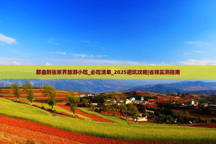 那曲到张家界旅游小吃