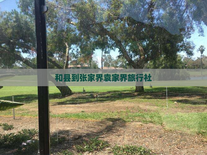 和县到张家界袁家界旅行社