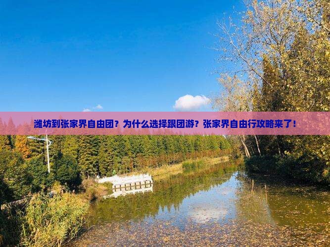 潍坊到张家界自由团