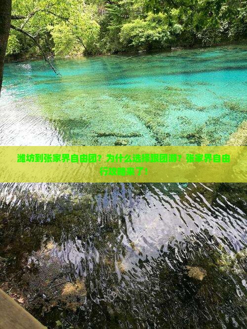 潍坊到张家界自由团