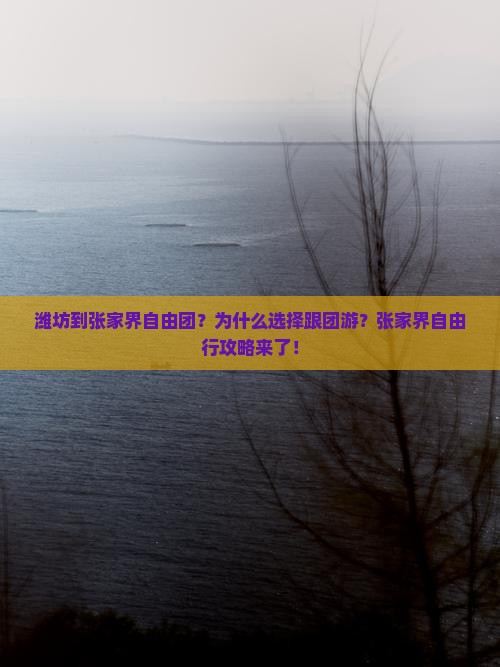 潍坊到张家界自由团