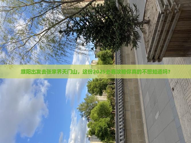 濮阳去张家界天门山个人游