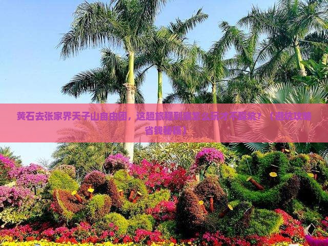 黄石去张家界天子山自由团