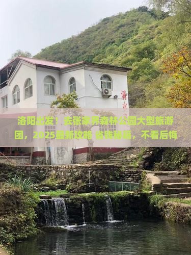 洛阳去张家界森林公园大型旅游团