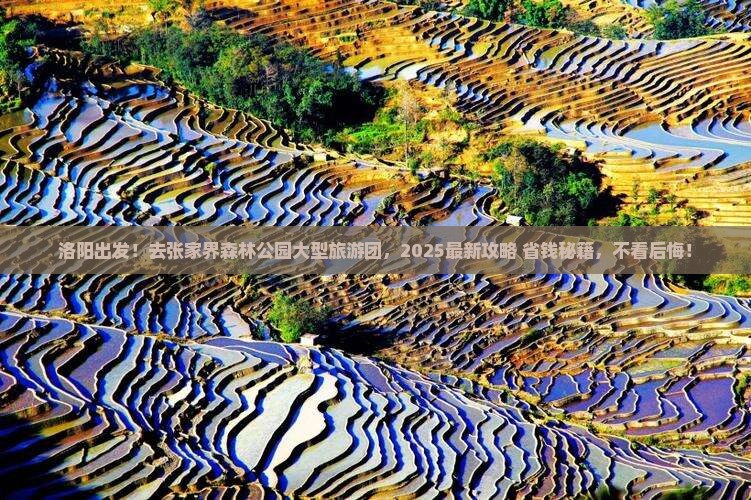 洛阳去张家界森林公园大型旅游团