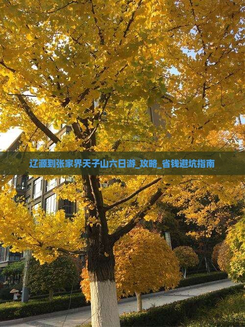 辽源到张家界天子山六日游