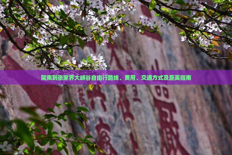 陇南到张家界大峡谷自由行