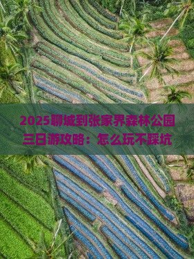 聊城到张家界森林公园三日游