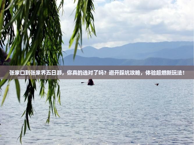 张家口到张家界五日游