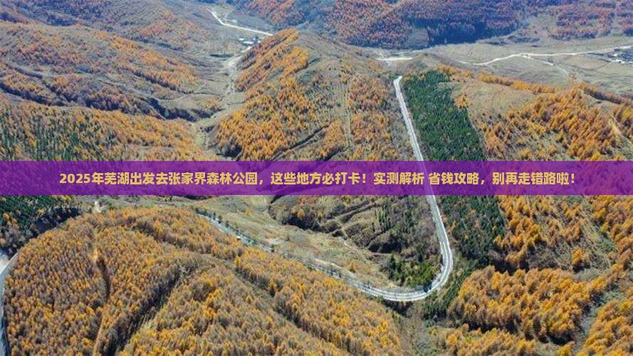 芜湖到张家界森林公园哪里玩