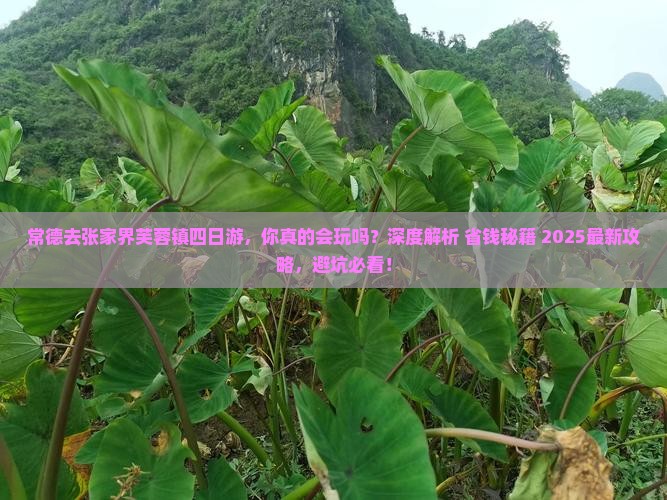 常德去张家界芙蓉镇四日游