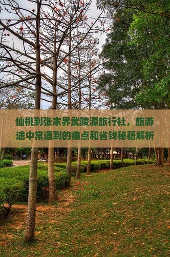 仙桃到张家界武陵源旅行社
