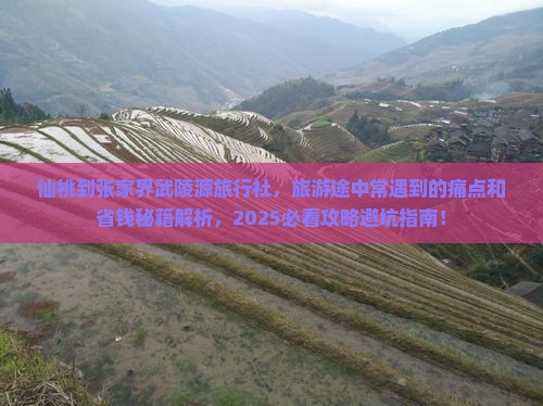 仙桃到张家界武陵源旅行社