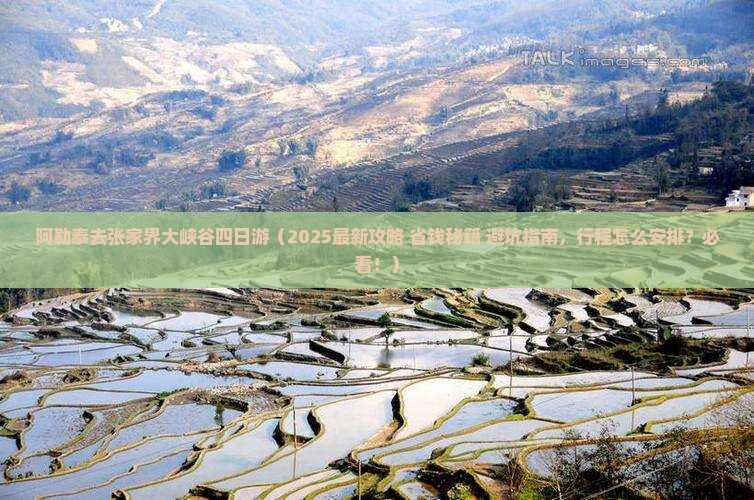 阿勒泰去张家界大峡谷四日游
