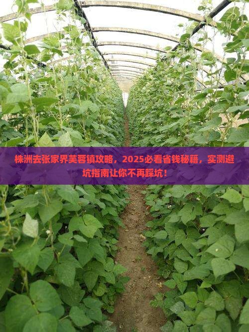 株洲去张家界芙蓉镇攻略