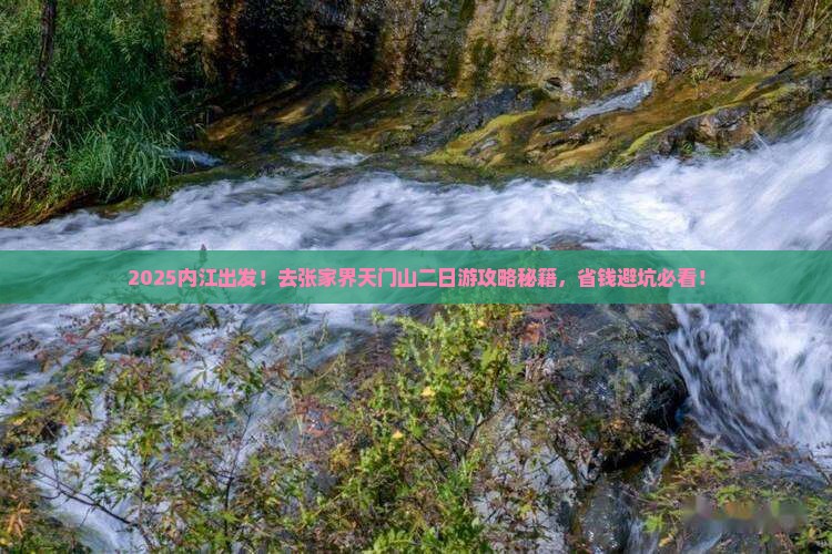 内江去张家界天门山二日游