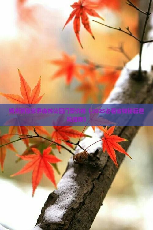 朔州到张家界森林公园门票