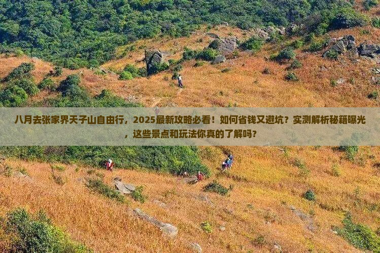 八月到张家界天子山自由行