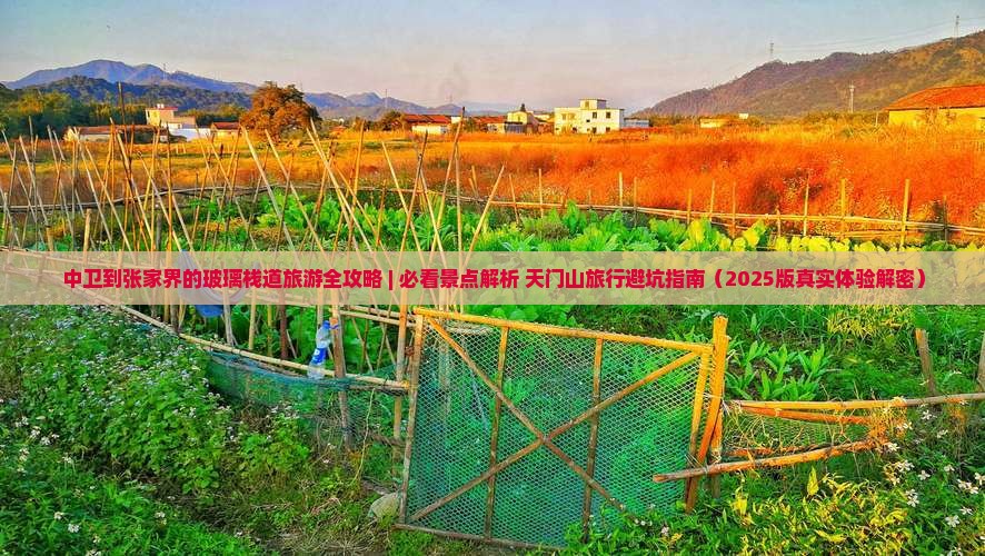中卫到张家界玻璃栈道旅游 中卫到张家界玻璃栈道旅游