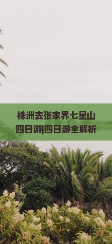 株洲去张家界七星山四日游