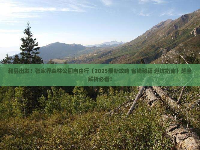 和县到张家界森林公园自由团