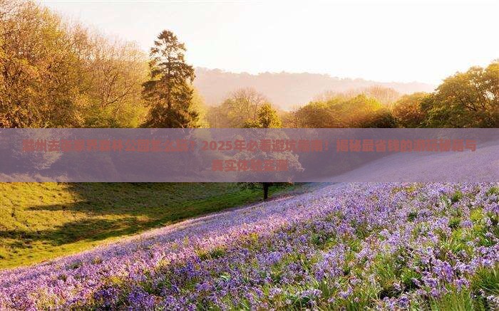 滁州去张家界森林公园哪里玩