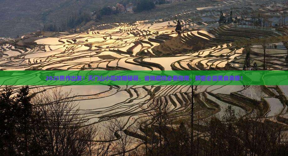焦作到张家界天门山旅游小吃